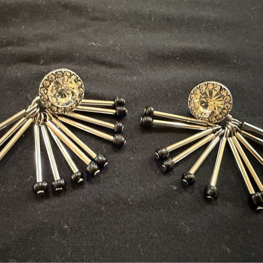 Elegant Silver and Black Earrings